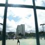 東北学生テニス連盟